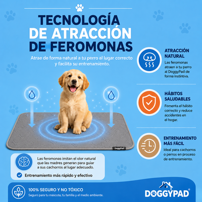 Doggypad – Olvídate de limpiar pipí para siempre