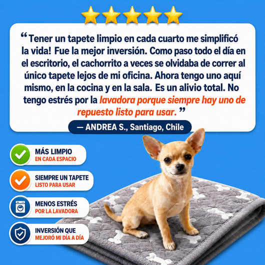 Doggypad – Olvídate de limpiar pipí para siempre