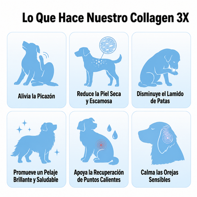 Colageno liquido- tu perrito sano y con energia