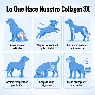 Colageno liquido- tu perrito sano y con energia
