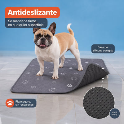 Doggypad – Olvídate de limpiar pipí para siempre