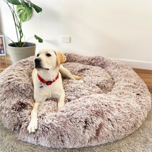 Cama relajante para perros -Dile adiós al estrés