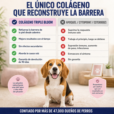 Colageno liquido- tu perrito sano y con energia