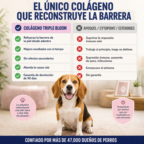 Colageno liquido- tu perrito sano y con energia