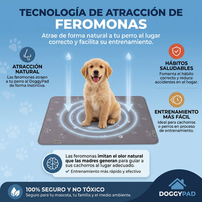 Doggypad – Olvídate de limpiar pipí para siempre