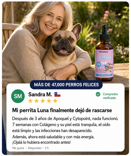 Colageno liquido- tu perrito sano y con energia