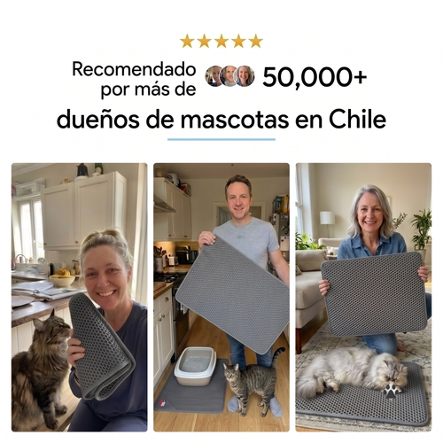 Tapete para gato: Ahorra arena y mantén tu casa limpia desde el día 1