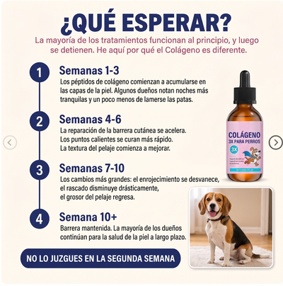 Colageno liquido- tu perrito sano y con energia